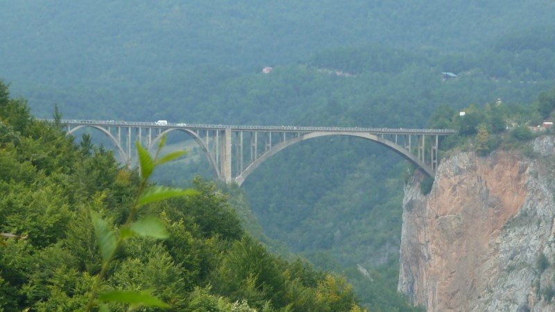 Tara Bridge Distant